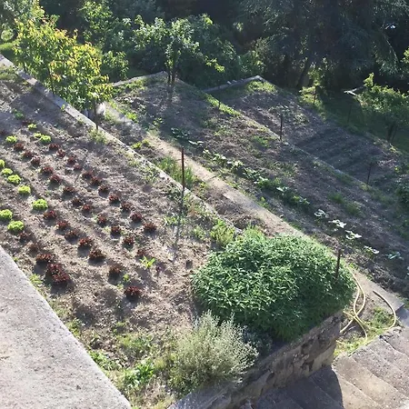 Annaines Bed & Breakfast San Romolo